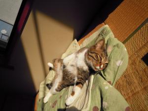 dscn20121
