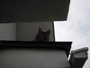dscn2753
