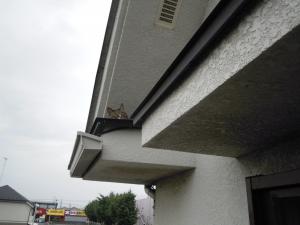 dscn2754