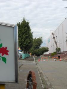 dscn3055