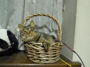 dscn2167