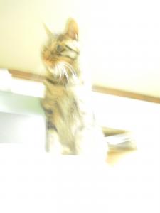 dscn21691
