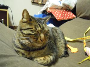 dscn2177