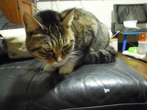 dscn2178