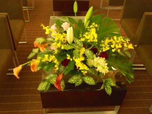 dscn3427