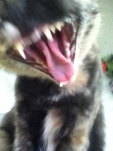 783