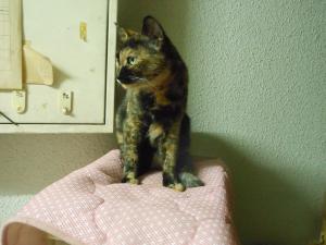 dscn3822