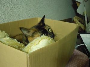 dscn3882