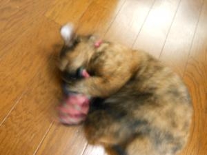 dscn3904