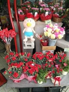 かっぱちゃん｜「はなひろ」　（東京都東大和市の花キューピット加盟店 花屋）のブログ